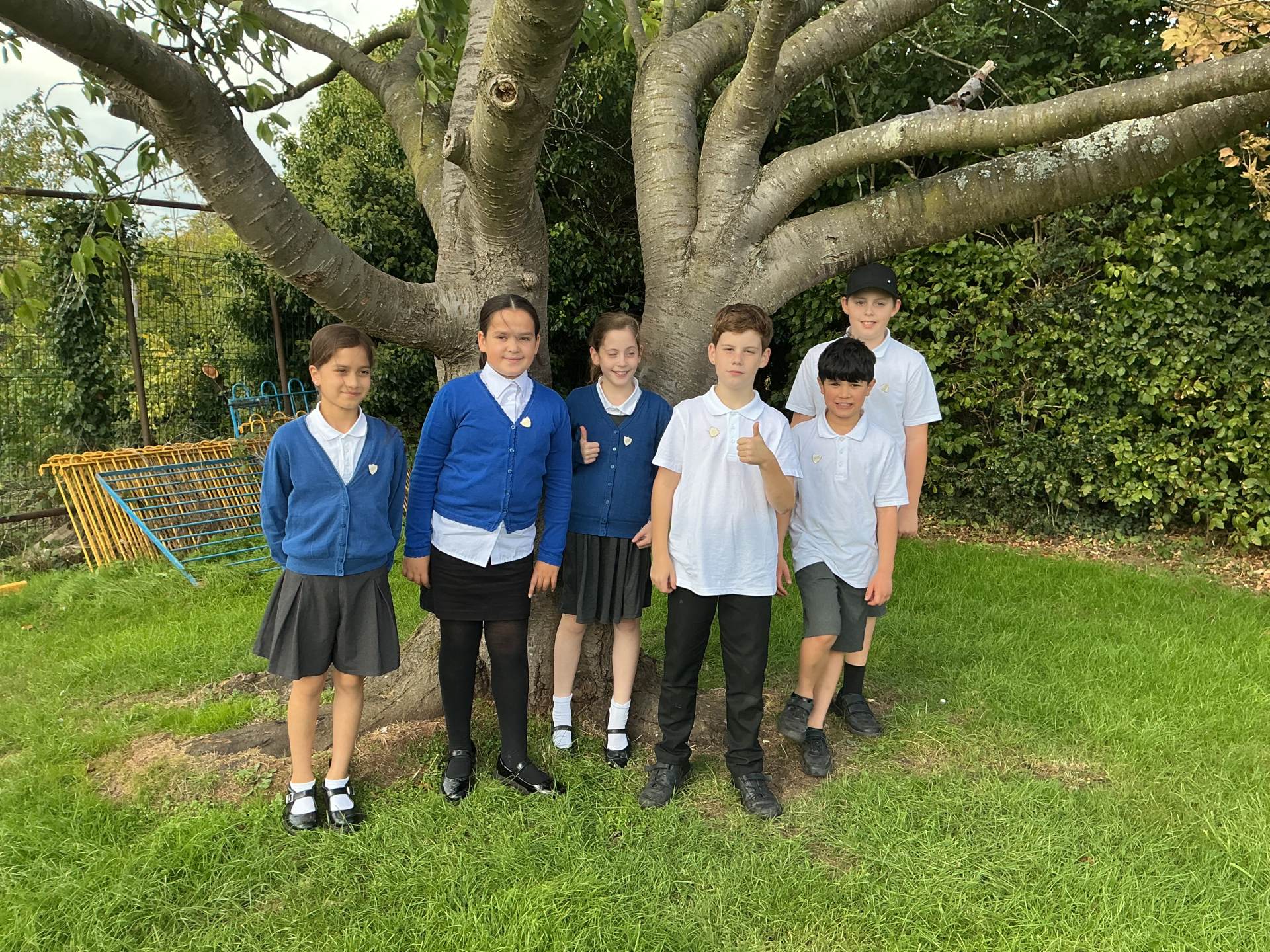 Wellbeing Ambassadors
